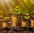 Money growing in soil, success concept to a financial planning meeting.